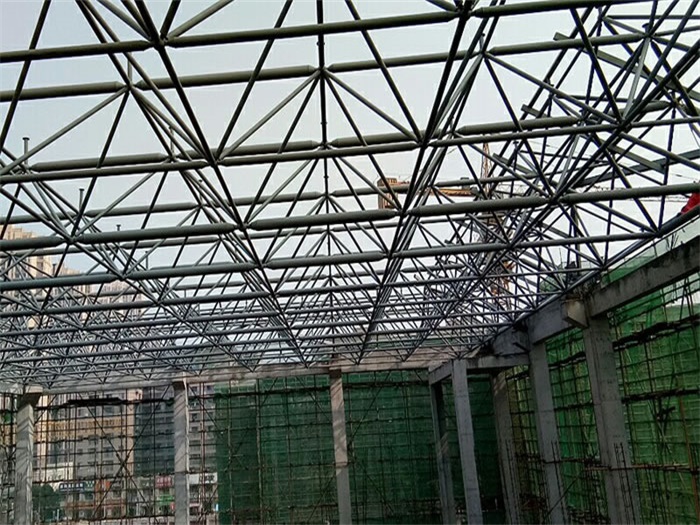 应城光谷第十一小学网架